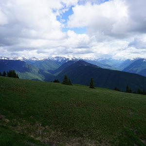 Meet your Posher, Anne